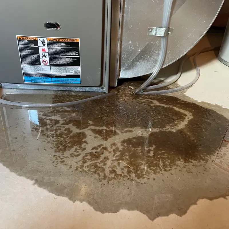 Appliance Leak Cleanup in City of Emporia, VA