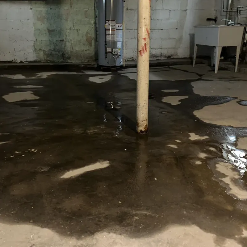 Emergency Water Extraction And Removal in City of Emporia, VA
